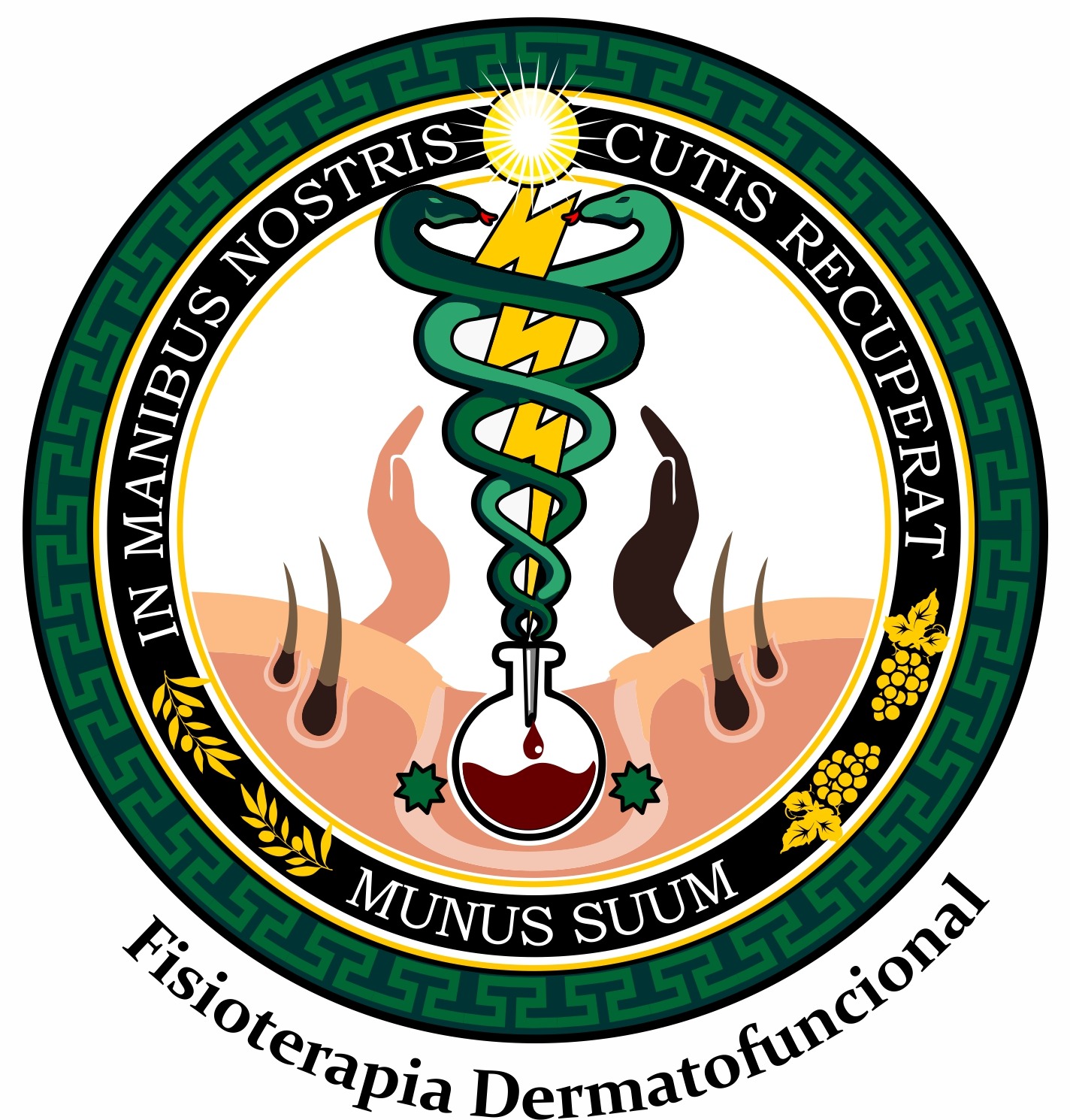 Resumo Dermatofuncional 2 - Fisioterapia